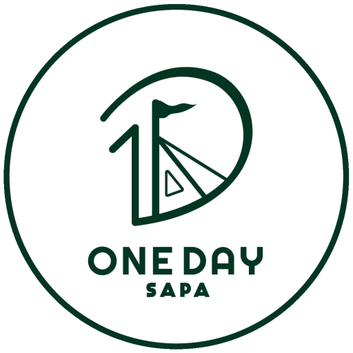 Logo 1daysapa 01 02